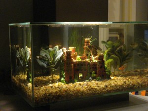 The Fish Bowl Fiddledeedee Aquarium Fluval By Fiddledeedee