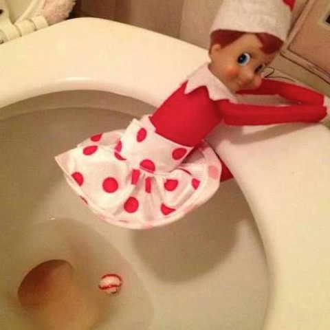 elfonashelf-onatoilet copy
